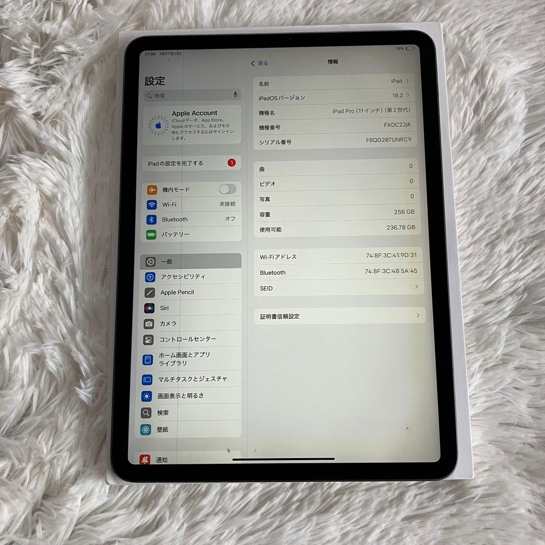 【早い者勝ち】iPad Pro 11インチ 第2世代 256GB 【すぐ発送】