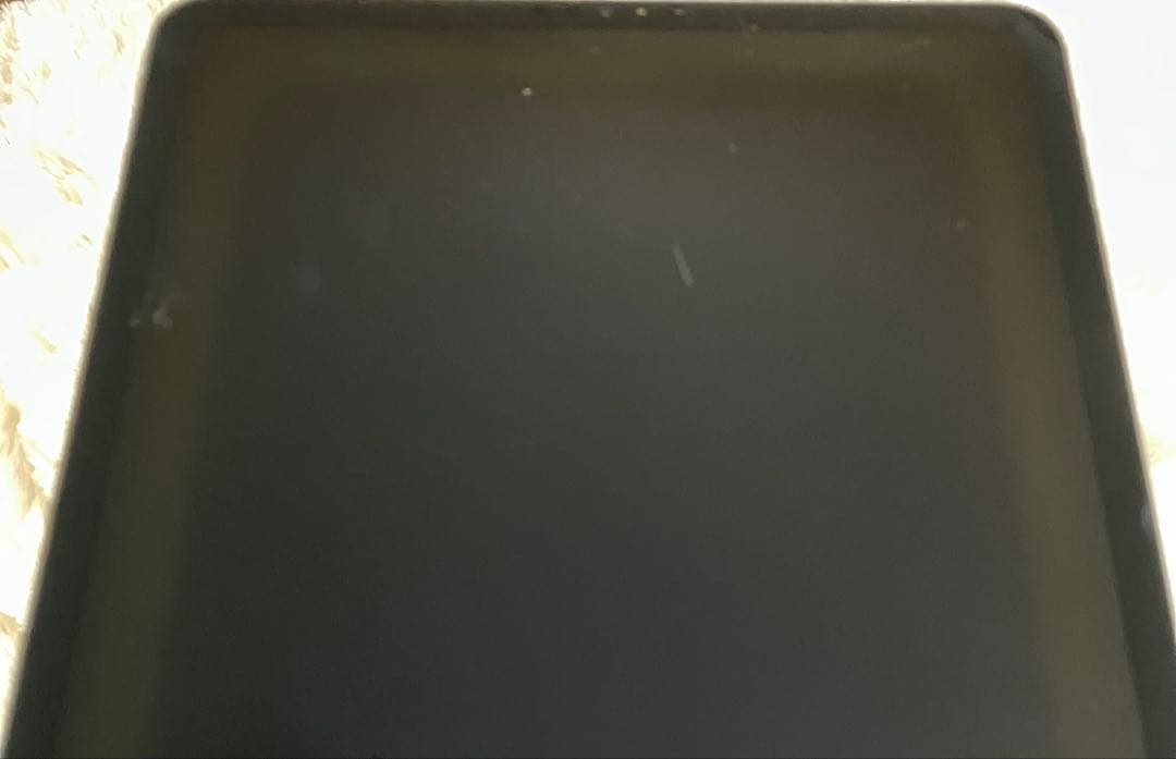 【早い者勝ち】iPad Pro 11インチ 第2世代 256GB 【すぐ発送】