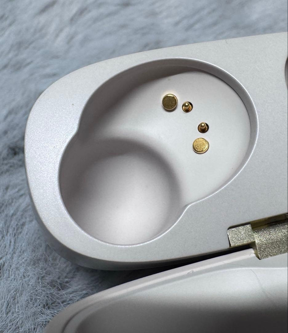 【美品】Bowers & Wilkins Pi8 DW／radius イヤピ付き