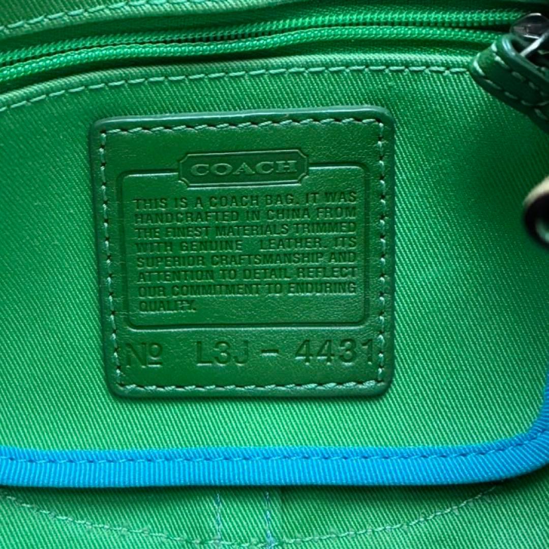 バッグ COACH Y2K multicolor flower shoulder bag