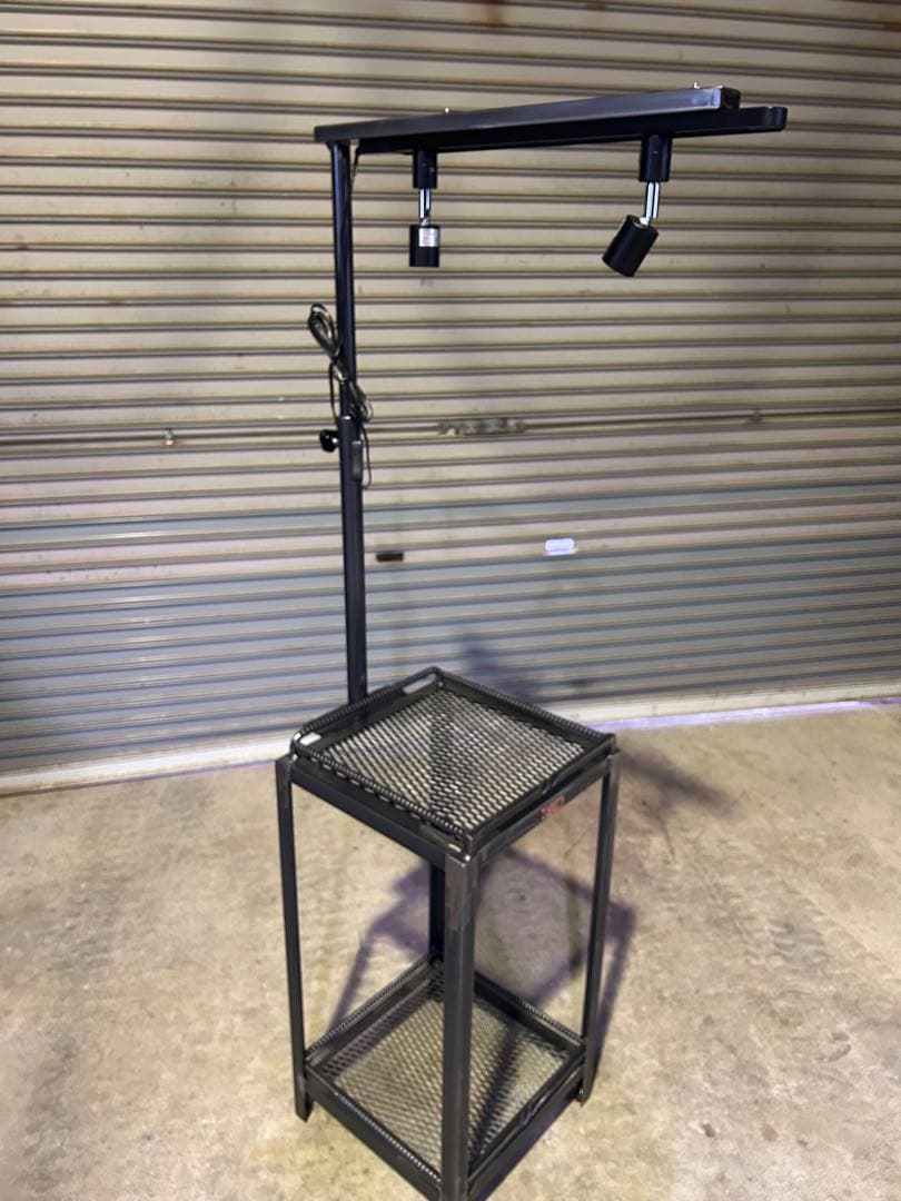 魅せる　アガベ育成棚