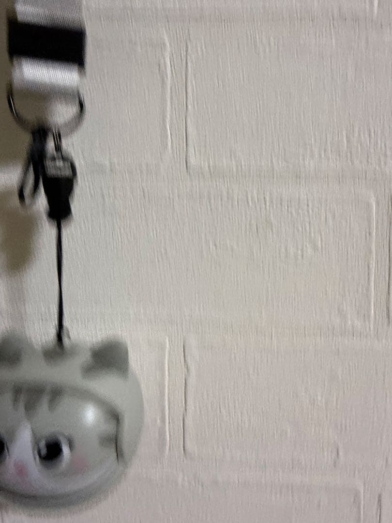 JETE FS1 Series ワイヤレスイヤホン 猫デザイン