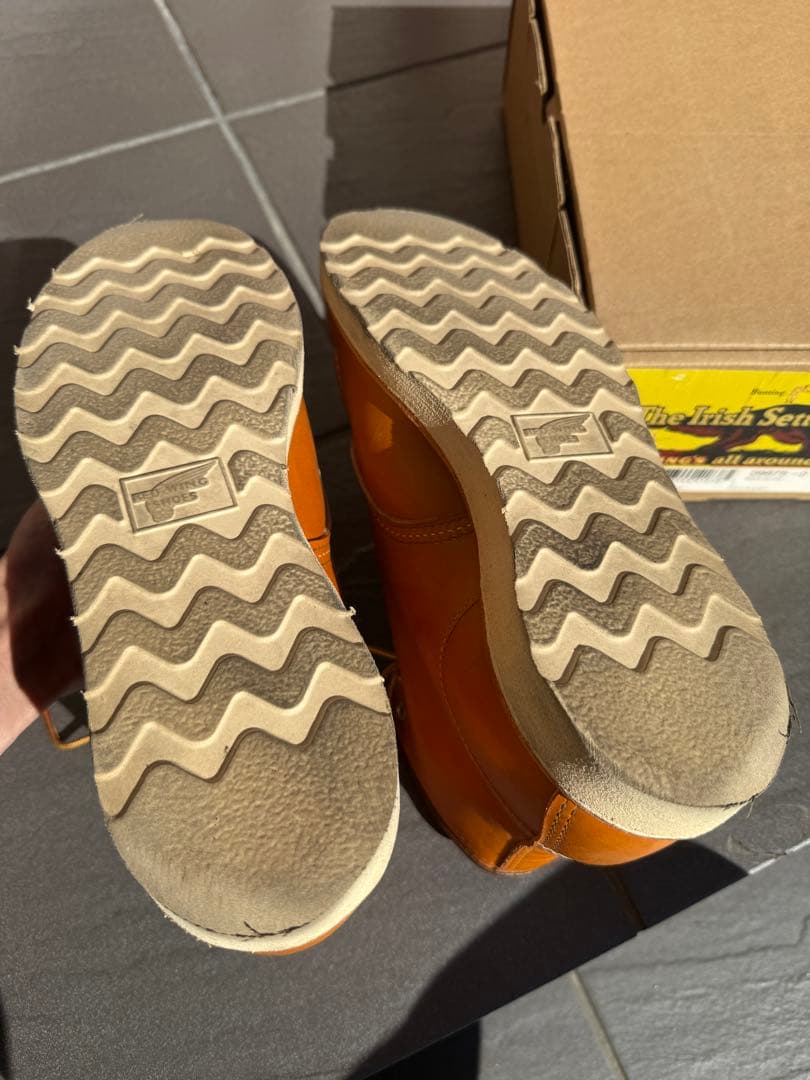 廃盤レッドウィング9875ゴールドラセットアイリッシュセッター セコイア犬タグ