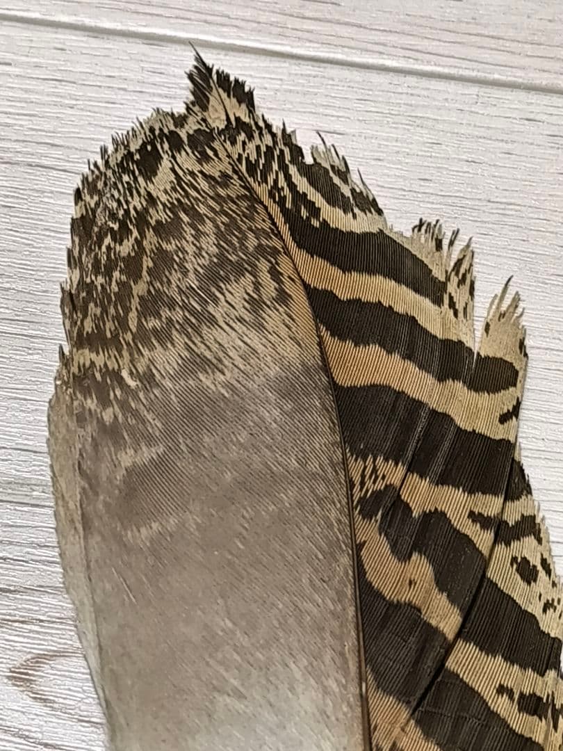 ​茶道具 羽帚（はぼうき） 三ツ羽 天然羽 箱入り羽箒