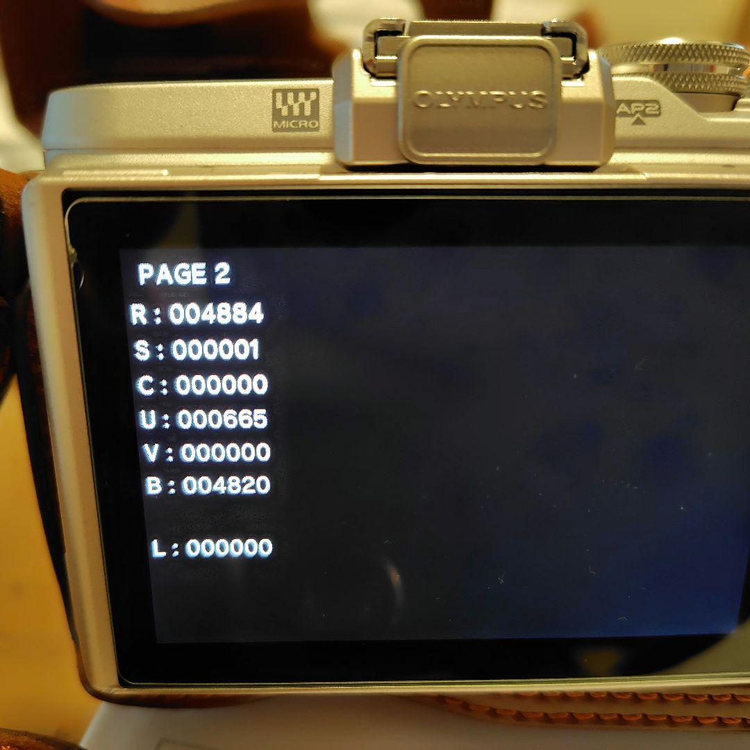 OLYMPUS PEN E-PL8 ミラーレス一眼　注意文有り