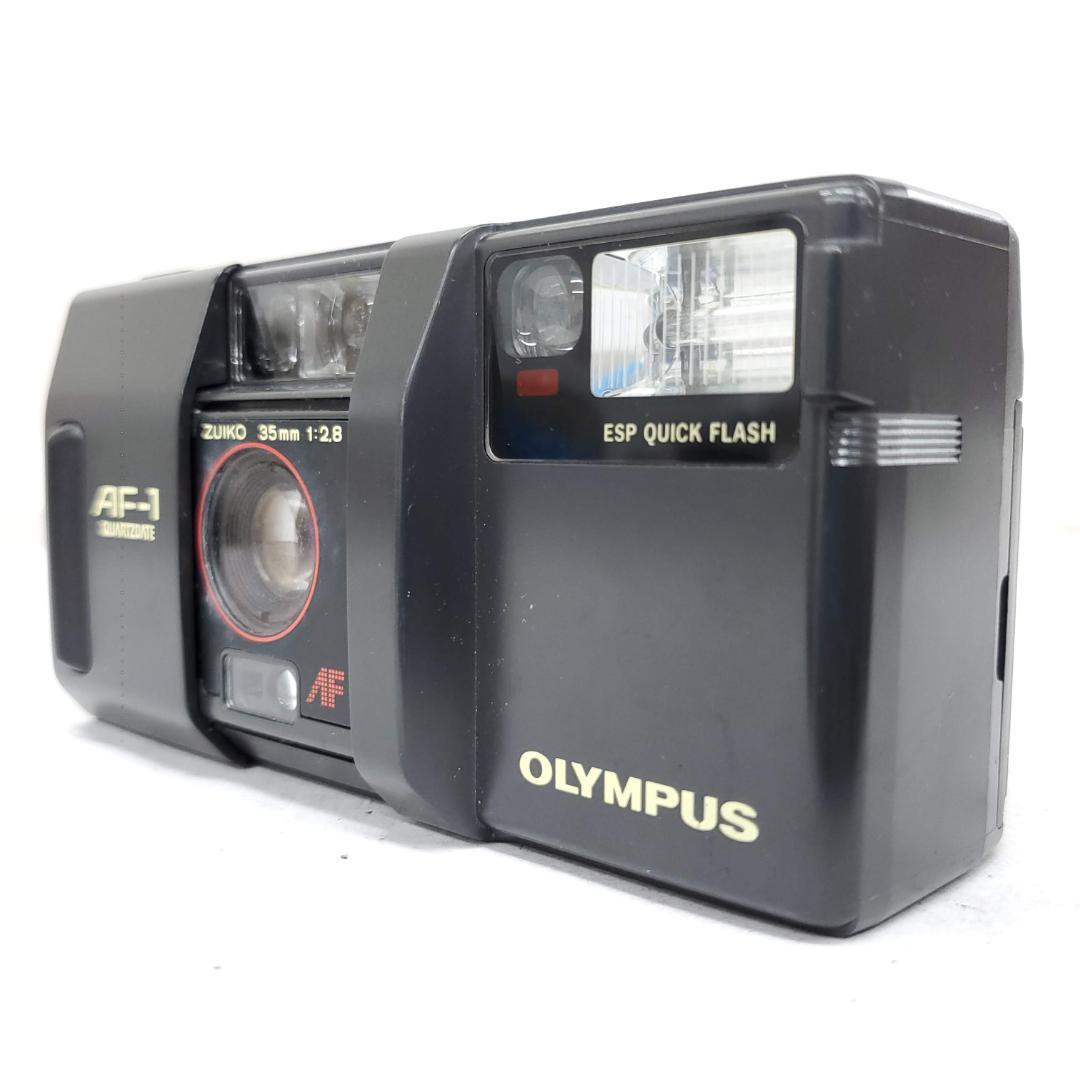 【動作確認済】 Olympus AF-1 F0116-333-10v p