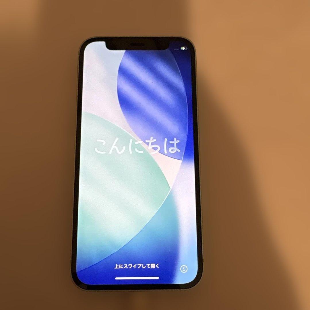 sagwpm 動作確認済み iPhone12‪mini