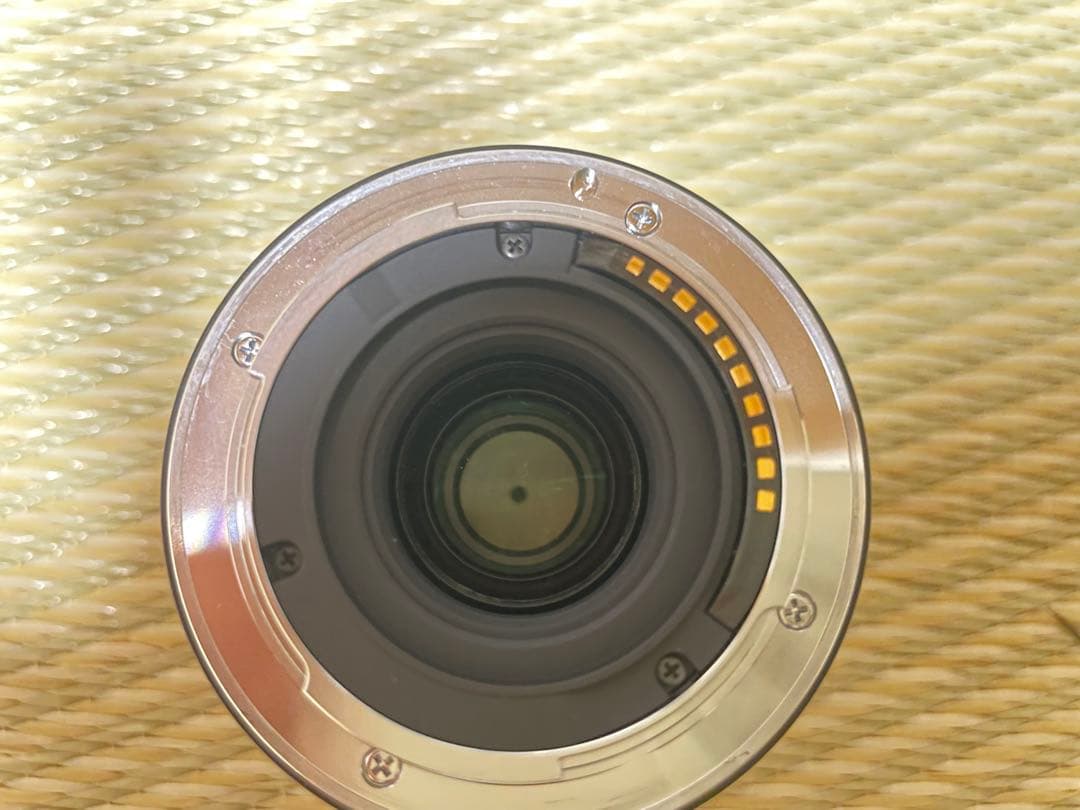 SONY α6000 SIGMA 19mm f2.8 DN