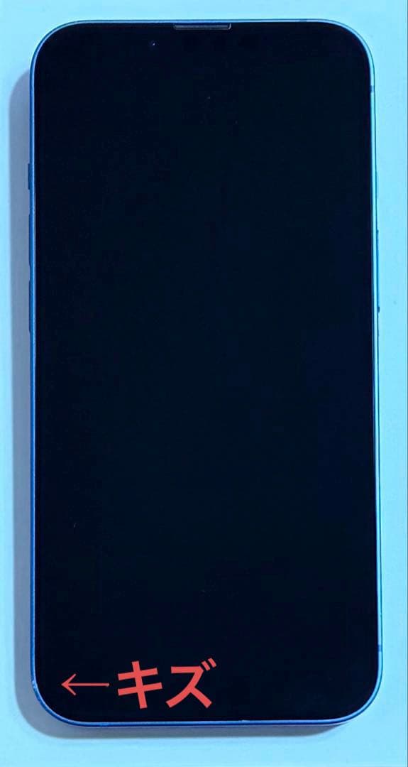 Apple iPhone 13 青色 256GB本体 & ケースなどのおまけ付き