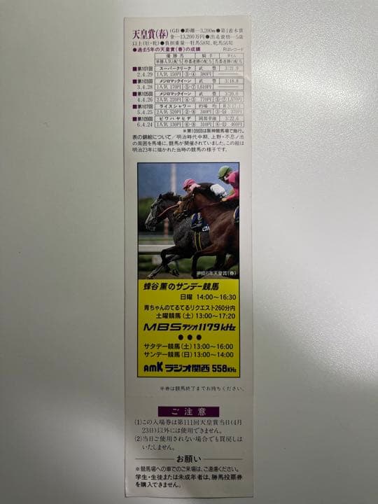 第111回 天皇賞(春) ライスシャワー 馬券　入場券　レーシングプログラム