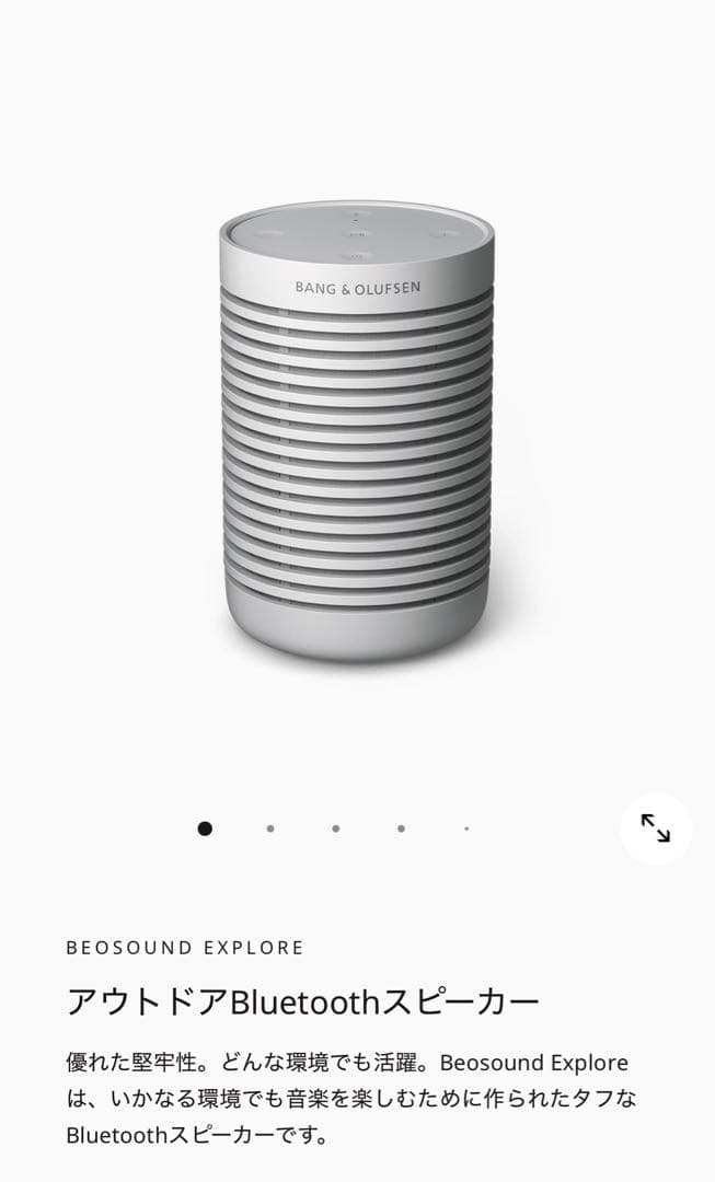 バングアンドオルフセン　アウトドアスピーカー【別売りケース付き】