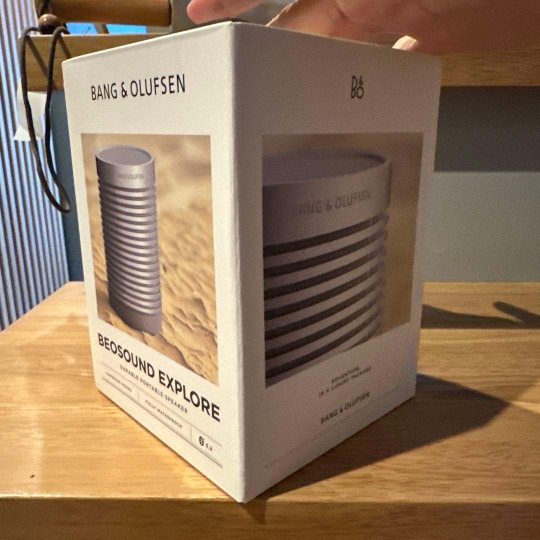 バングアンドオルフセン　アウトドアスピーカー【別売りケース付き】