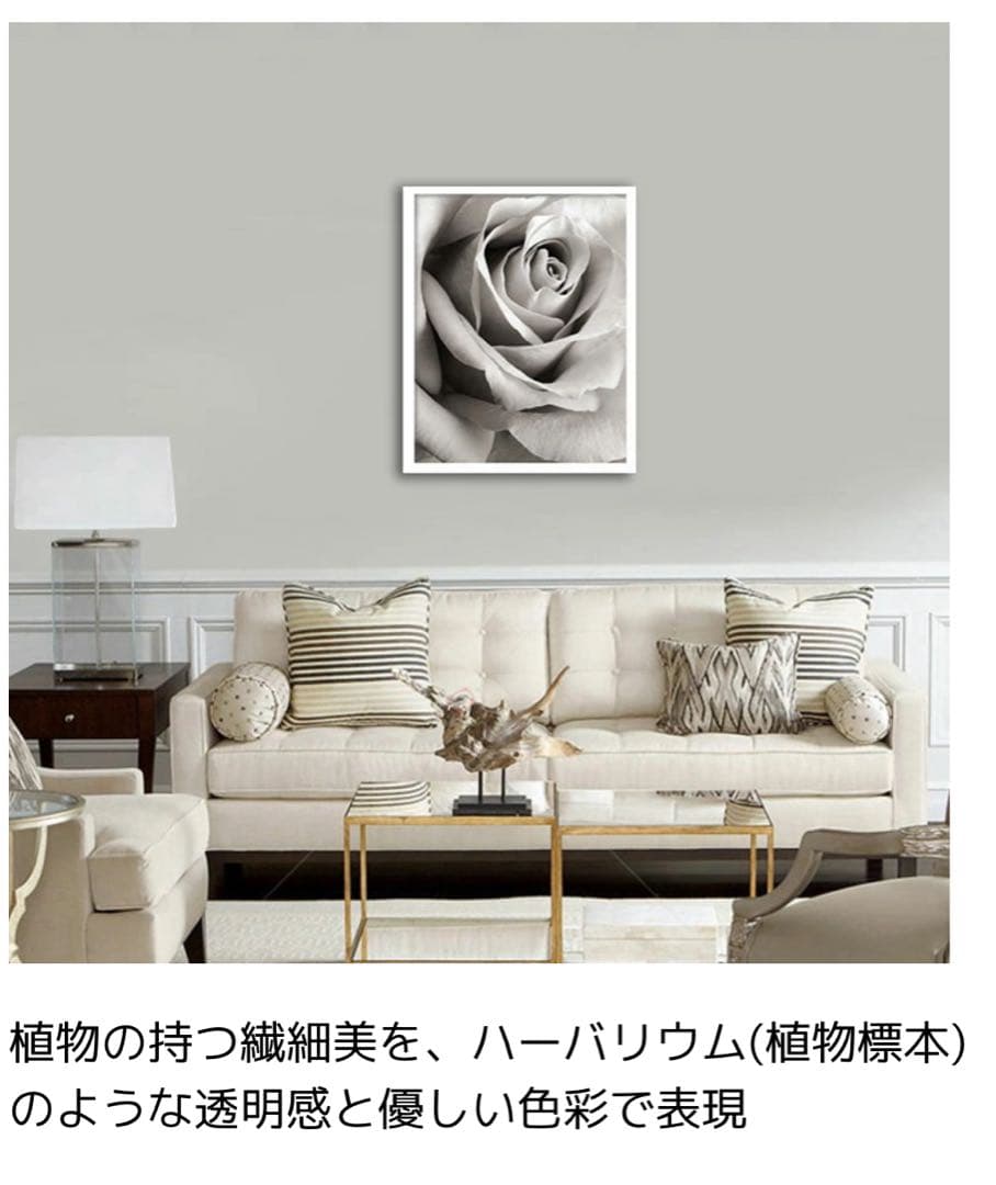 Steven N. Meyers Rose X線アート モノトーン65×81cm