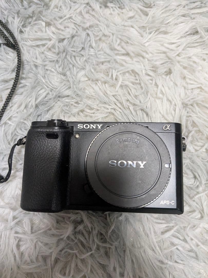 SONY α6000 + TTARTISAN 50mm f2