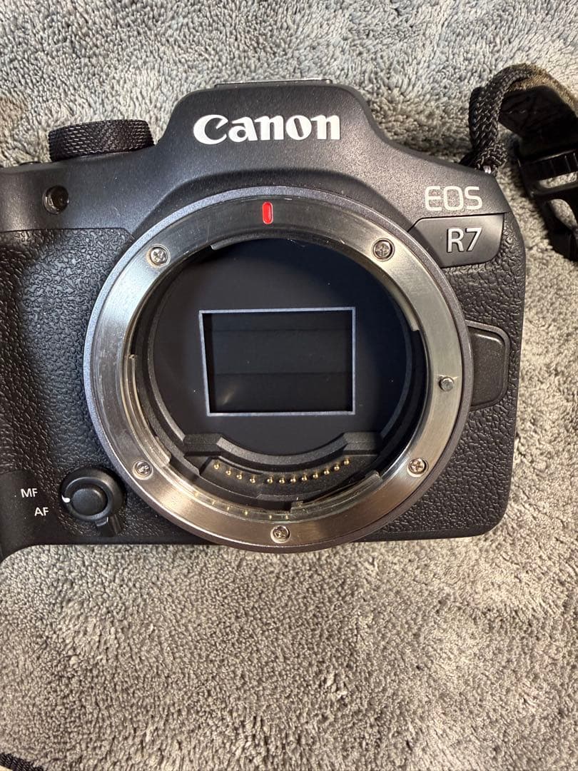 Canon EOS R7 一式 バッテリー2個 レンズ2本