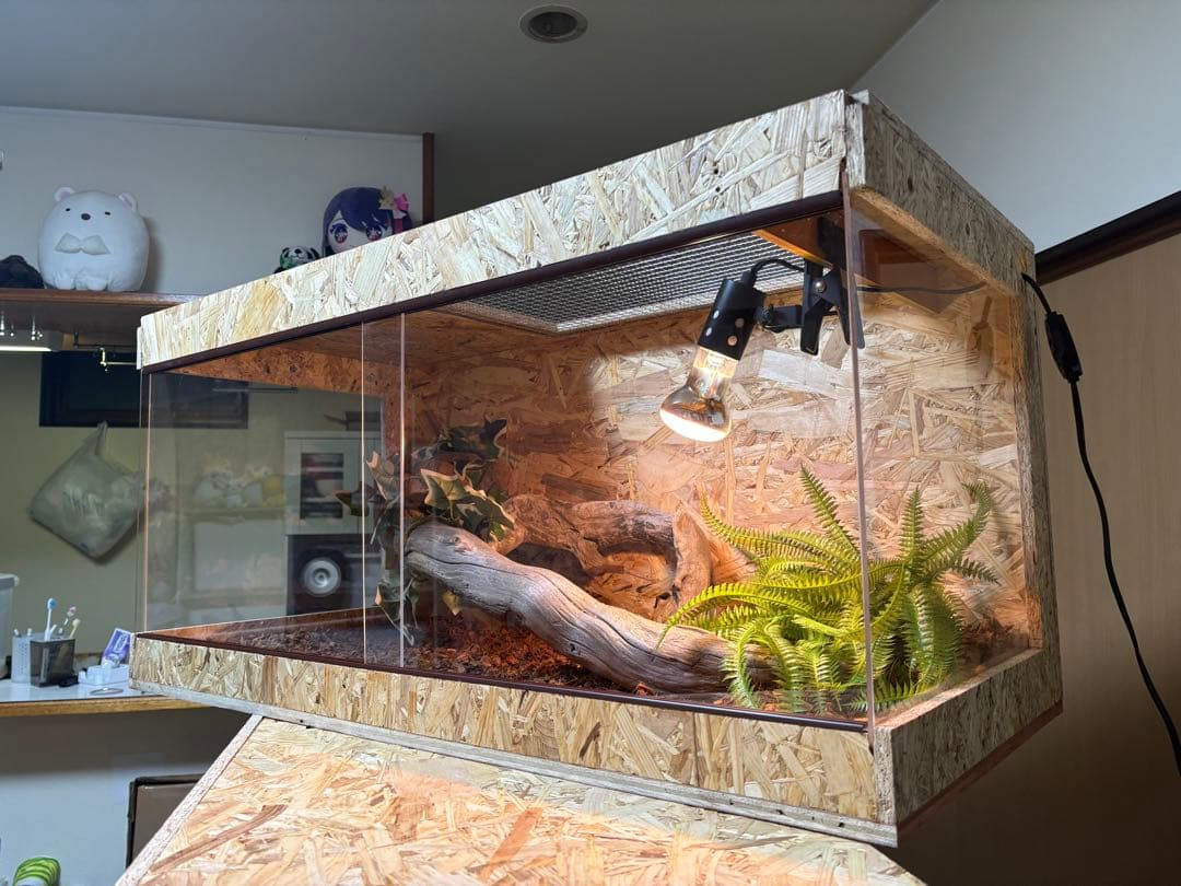 爬虫類ケージ 80×40×40 サイドアクリル　オプション付属品　飼育