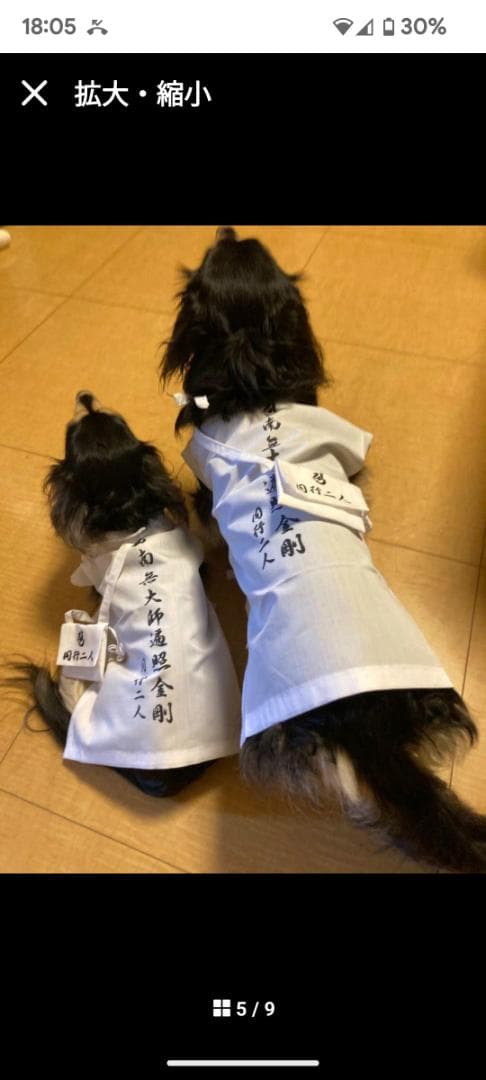 ペット用お遍路白衣三点セット　Мまで