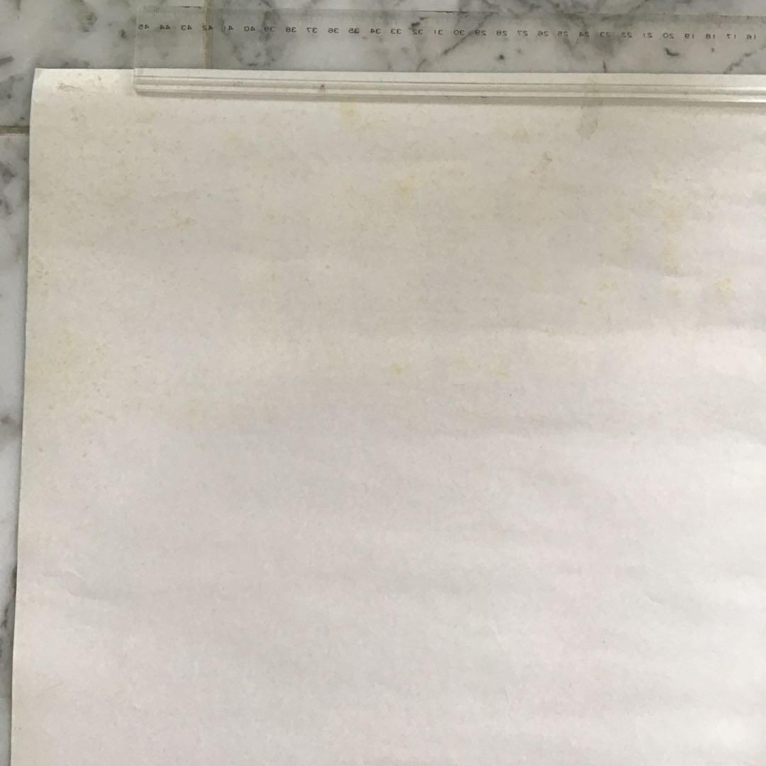 ユナイテッド航空 ハワイ ビンテージ ポスター オリジナル Tiki