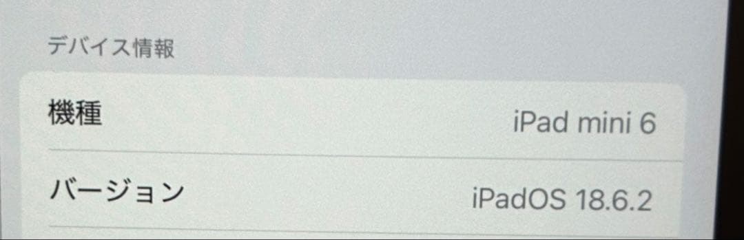 Apple iPad 6miniスペースグレー 本体