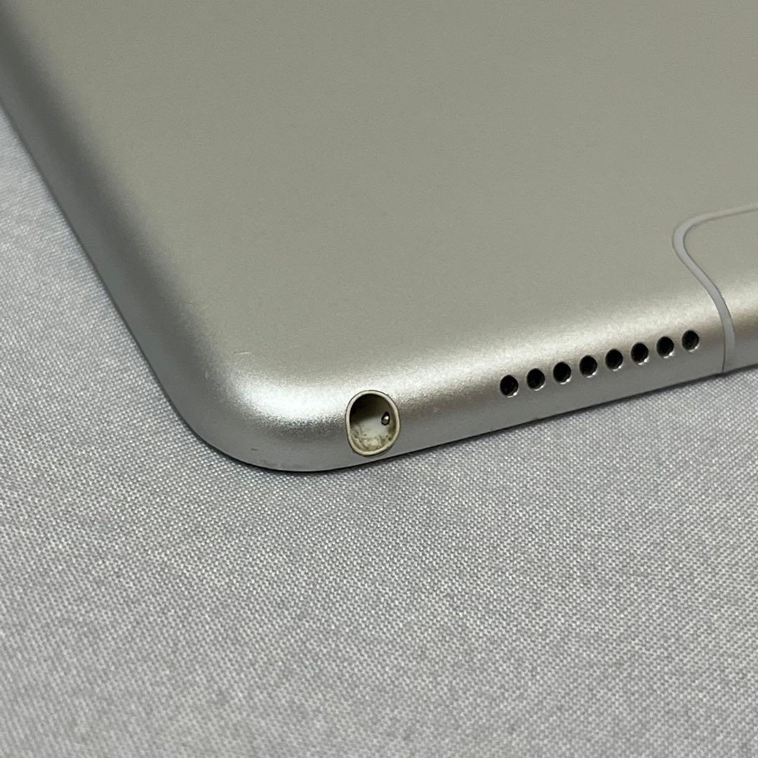 iPad Pro 10.5 512GB Wi-Fi Cellular 本体