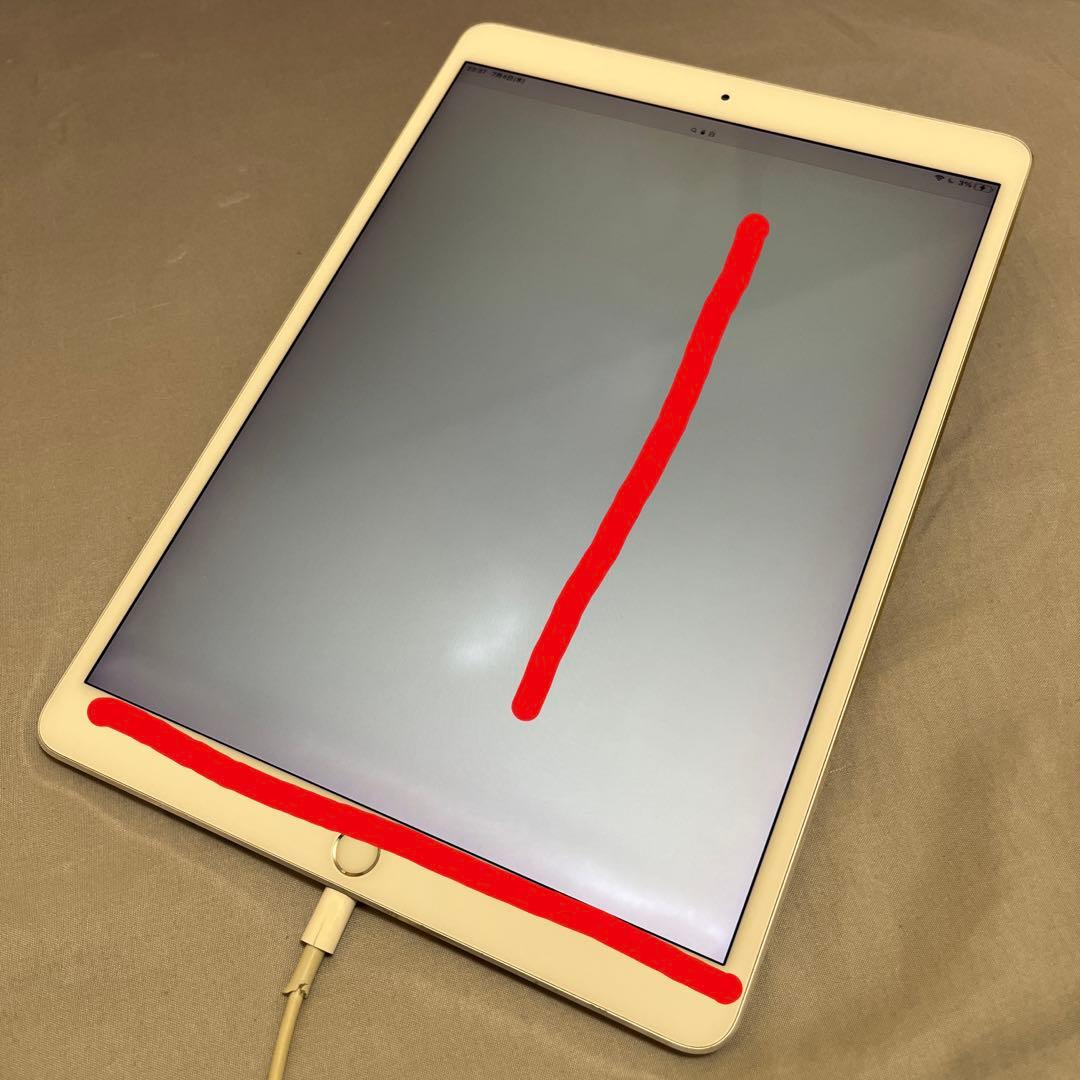 iPad Pro 10.5 512GB Wi-Fi Cellular 本体