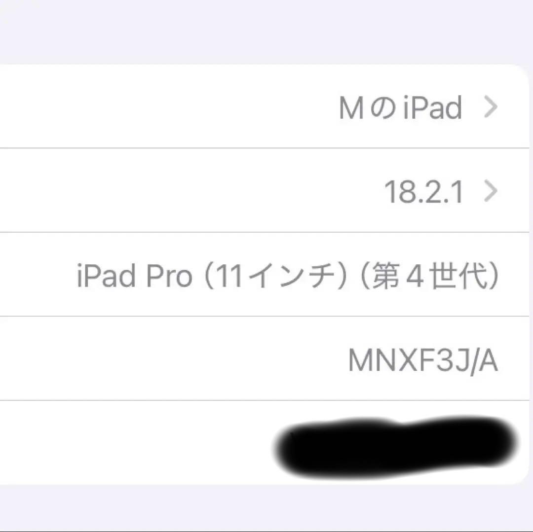 iPad Pro 11 第4世代 M2 256GB Wi-Fi