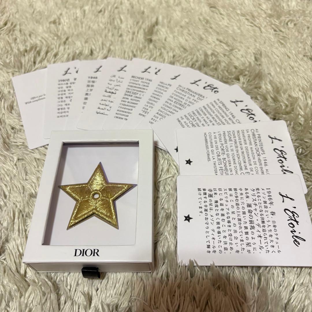 Dior ピアス(片耳)&ピンクサテンシュシュ&ブローチ　ギフトボックス付き