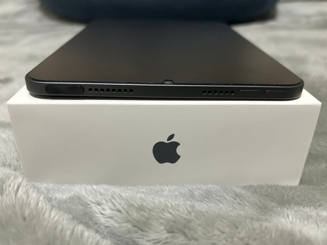 iPad mini(第6世代)256GB Wi-Fiモデル　スペースグレイ