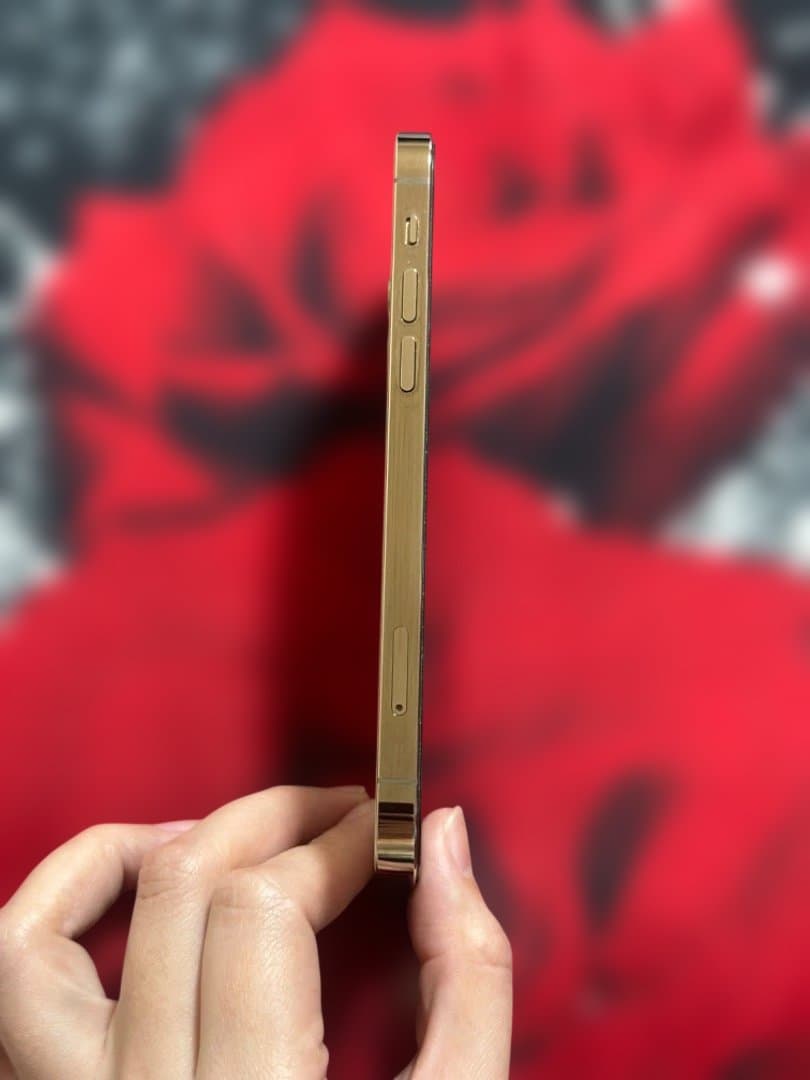 Apple iPhone 12 Pro 256gb ゴールド Sim プリー