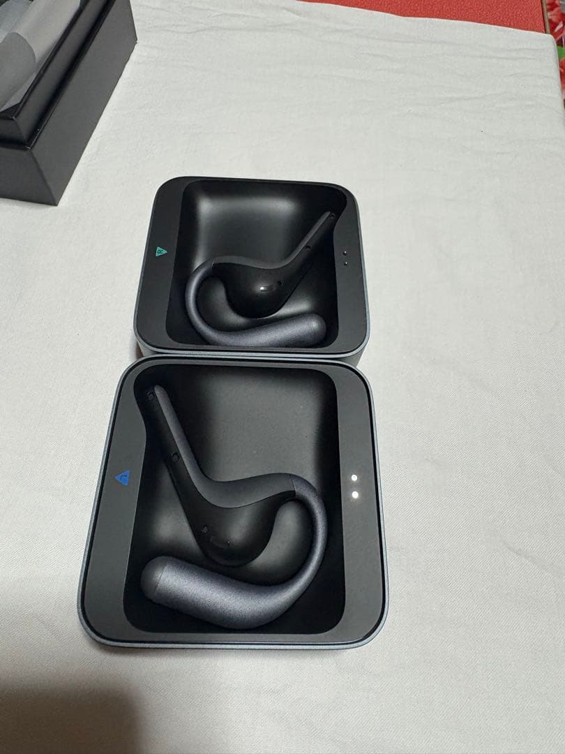 Timekettle W4 Pro 翻訳機 通訳機／オフライン対応／5年保証付き