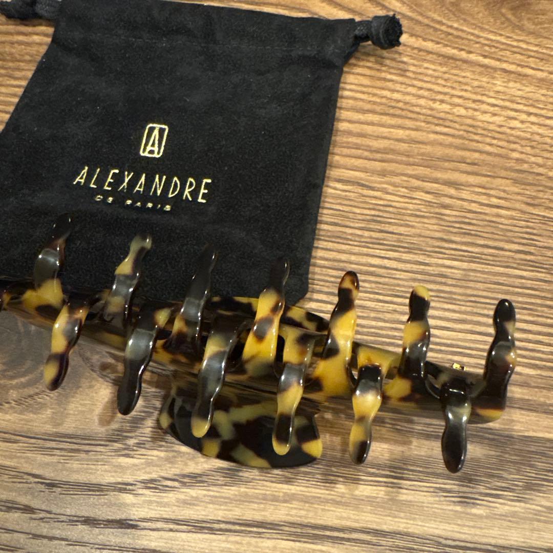 試着のみ ALEXANDRE DE PARIS ヘアクリップLサイズ