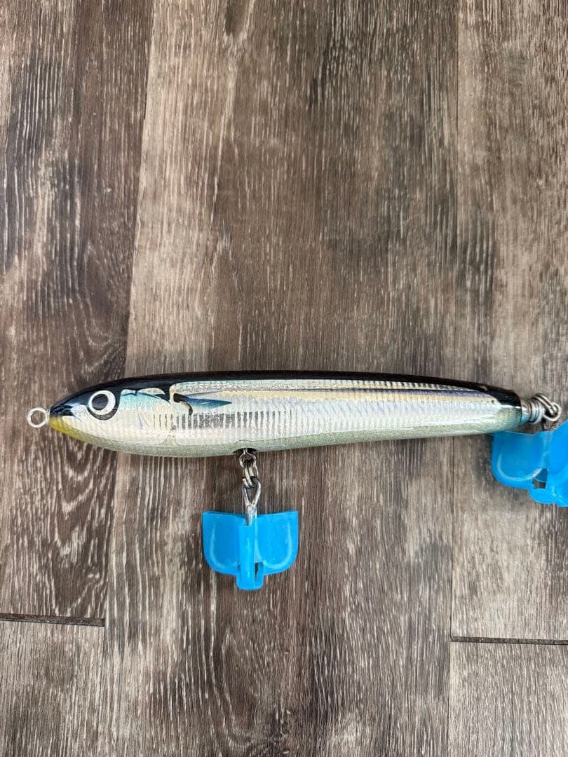 カーペンター　ガンマ　ブルーフィッシュ　マグロ