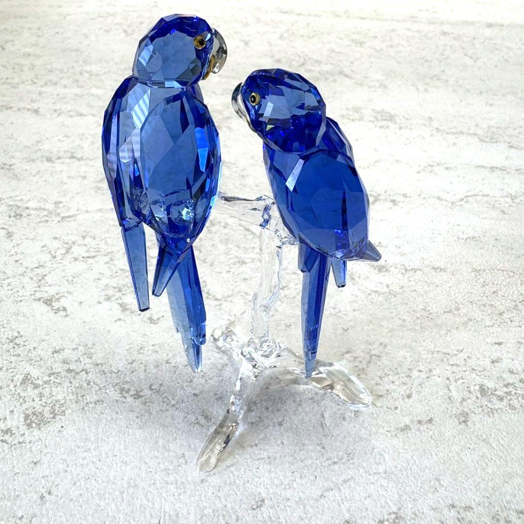 スワロフスキー　SCS会員限定　ヒヤシンスマコー　スミレコンゴウインコ