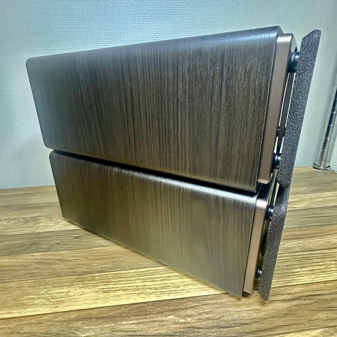 JVCケンウッド EX-S55-T ウッドコーンシリーズ ハイレゾ