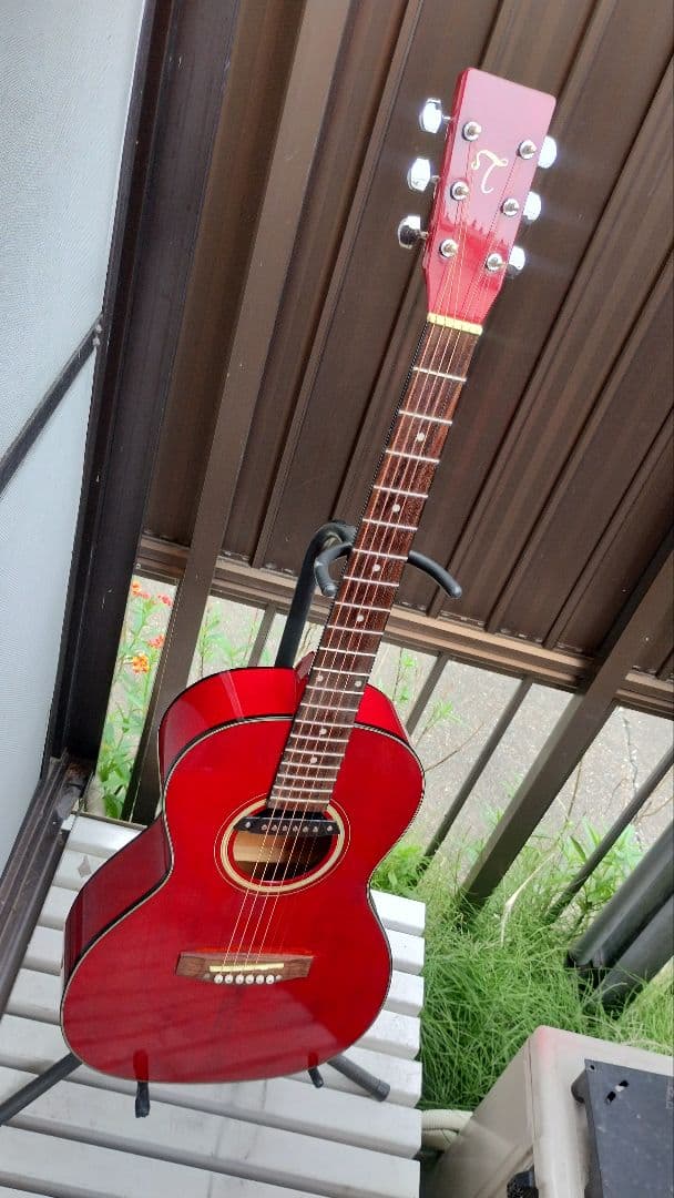 Takamine T-Series ニューヨーカー Wピックアップ付エレアコ