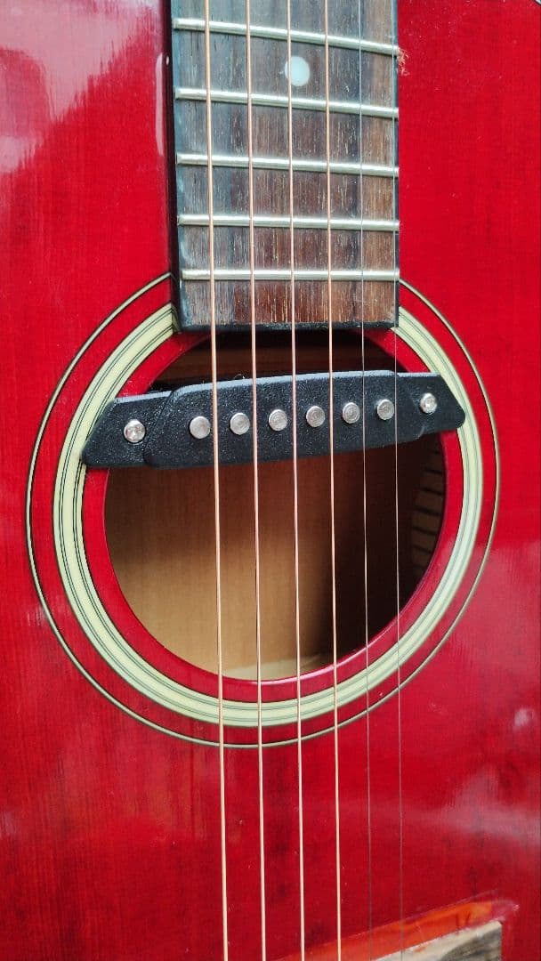 Takamine T-Series ニューヨーカー Wピックアップ付エレアコ