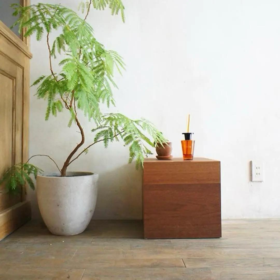 ウォールナット 収納BOX 隙間収納 リビング収納 玄関収納