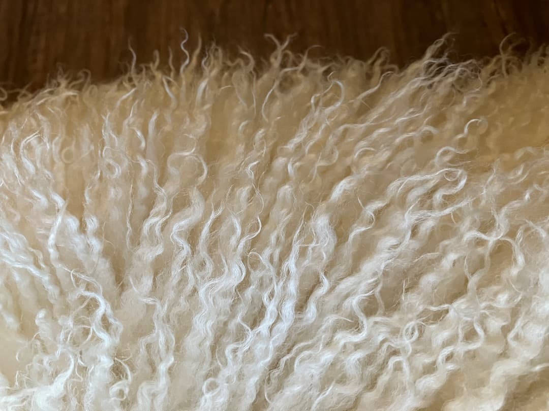 北欧羊のシープスキン