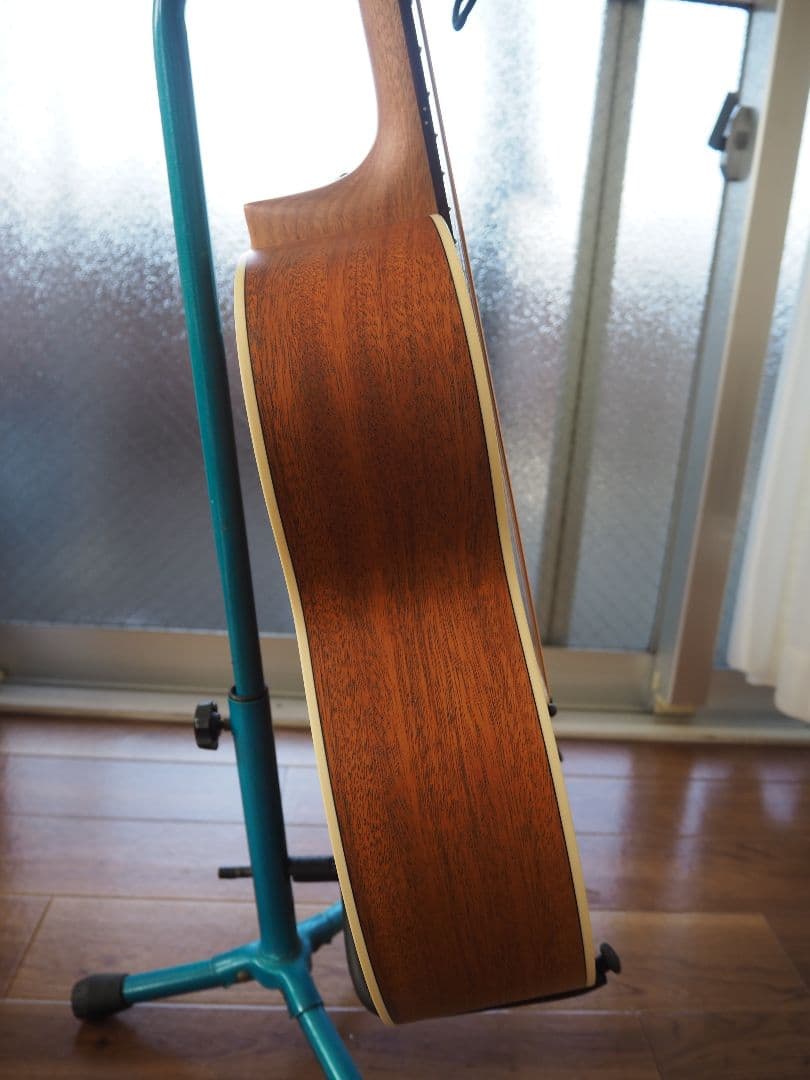 ギター aNueNue Bird Guitar Bird M2