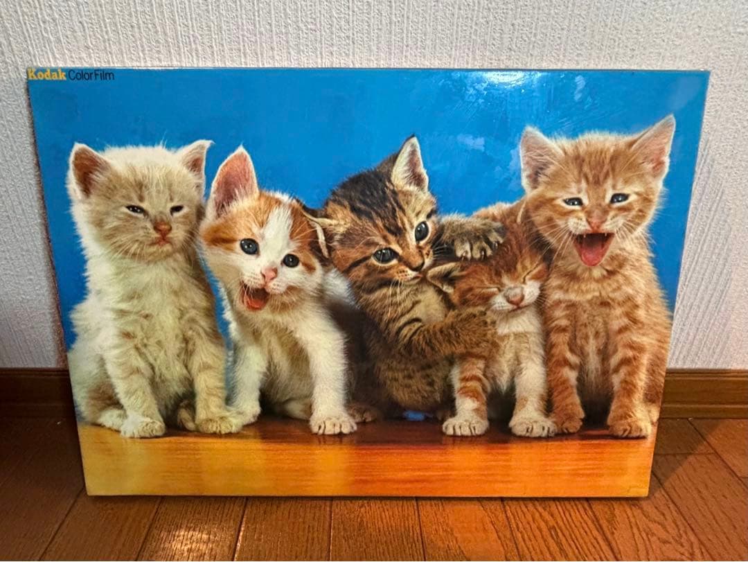 sango　コダックフィルム　コダカラー　ウォルター•チャンドーハ