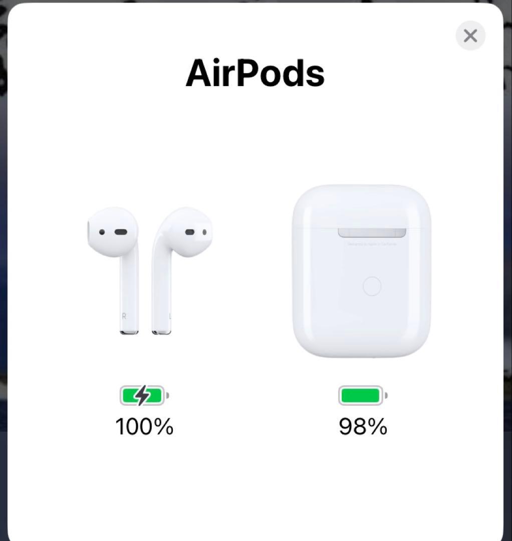 Apple AirPods 本体 Charging Case付き