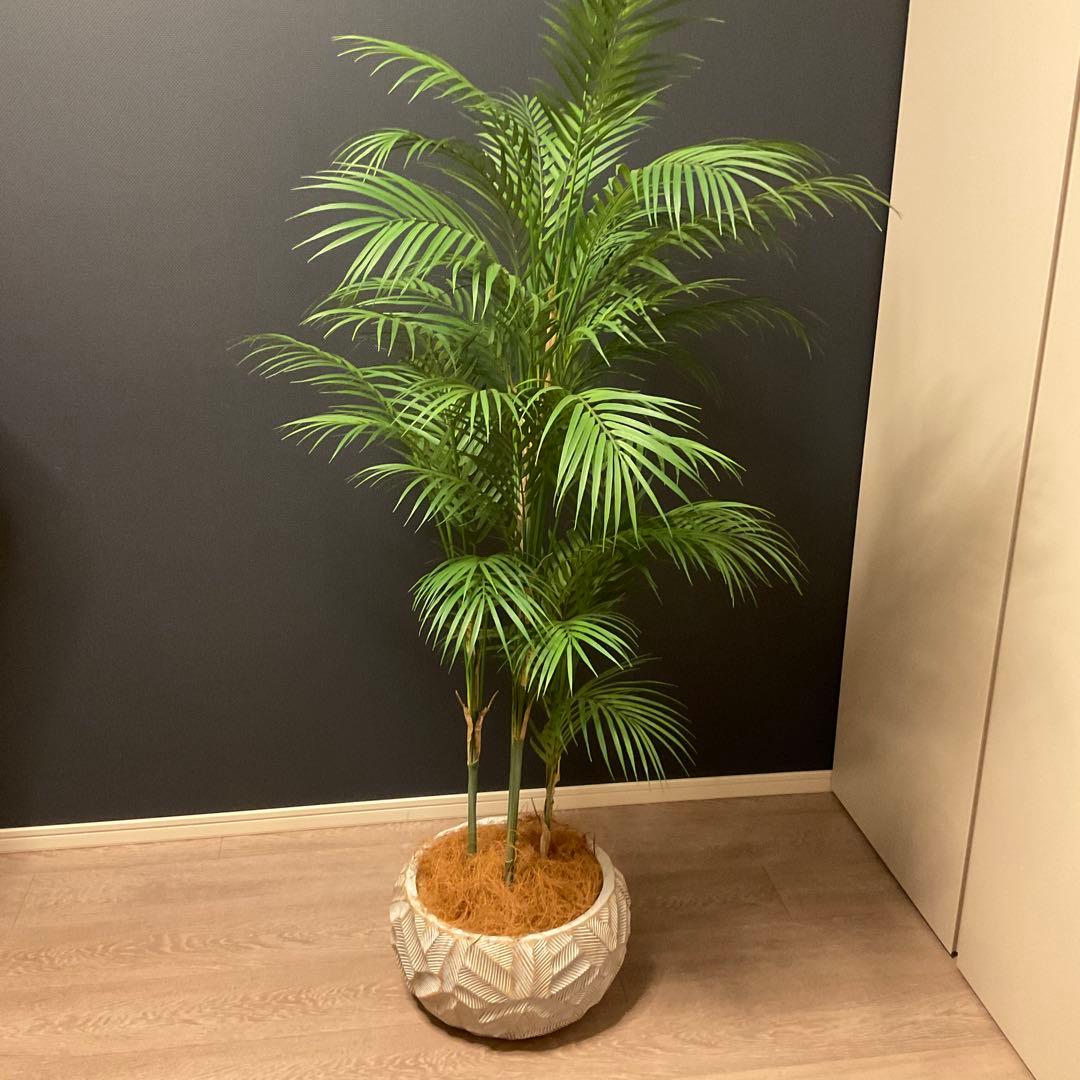 エミリオロバ　パーム　人工観葉植物