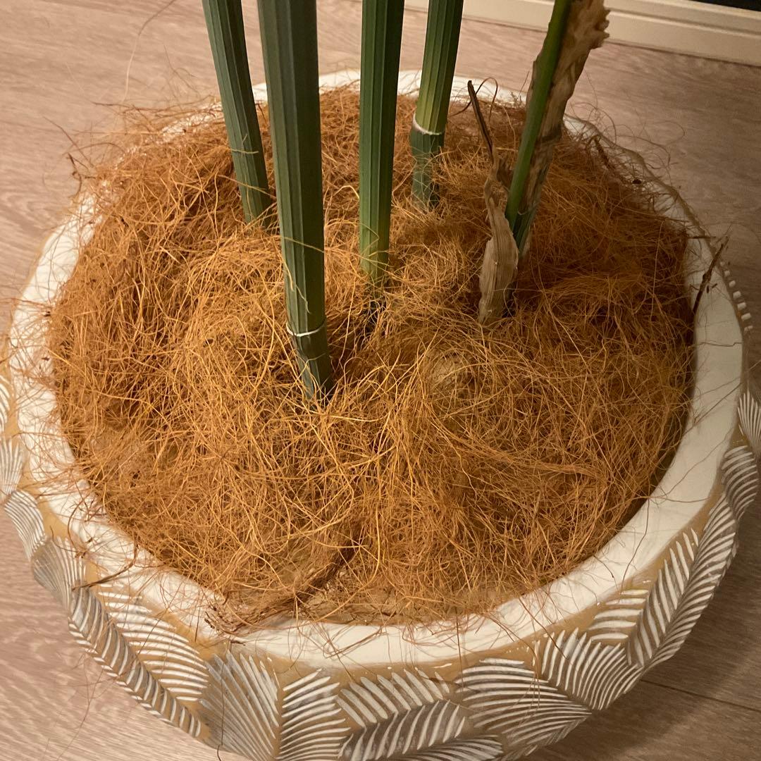 エミリオロバ　パーム　人工観葉植物