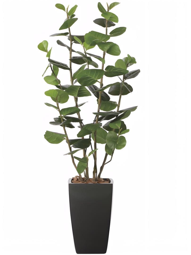 光触媒　人工観葉植物　フェイクグリーン　アーバンシーグレープ1.8