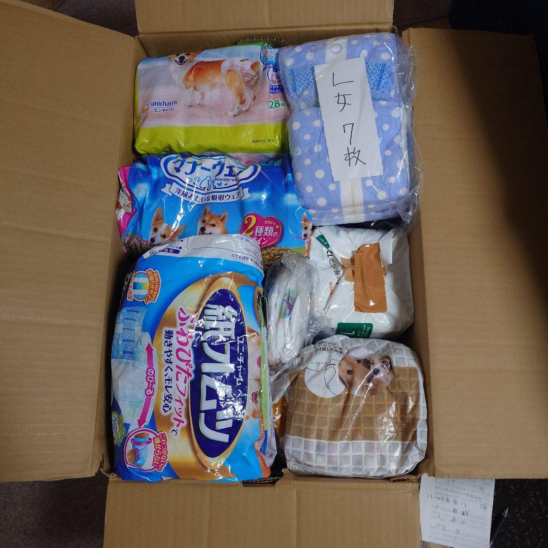 値下マナーウェア　148枚　Lサイズ　女の子セット