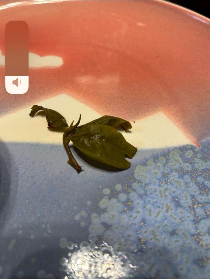 【台湾好茶】頂級 大禹嶺高冷茶150g *5袋 冬茶2025手摘み