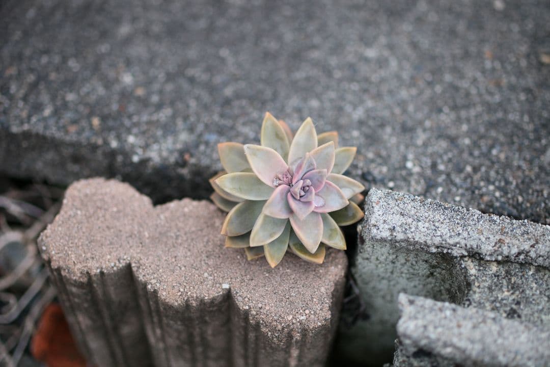 【超美品】TAMRON SP 45mm F1.8 Di VC USD