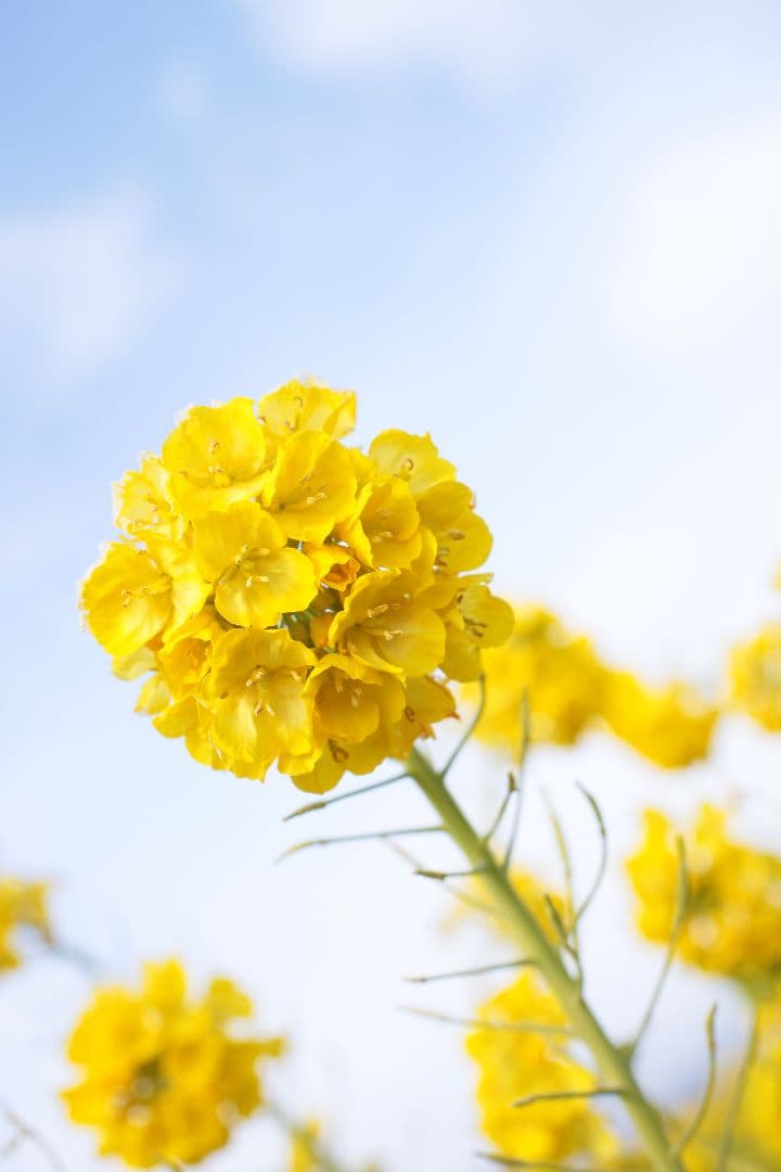 【超美品】TAMRON SP 45mm F1.8 Di VC USD