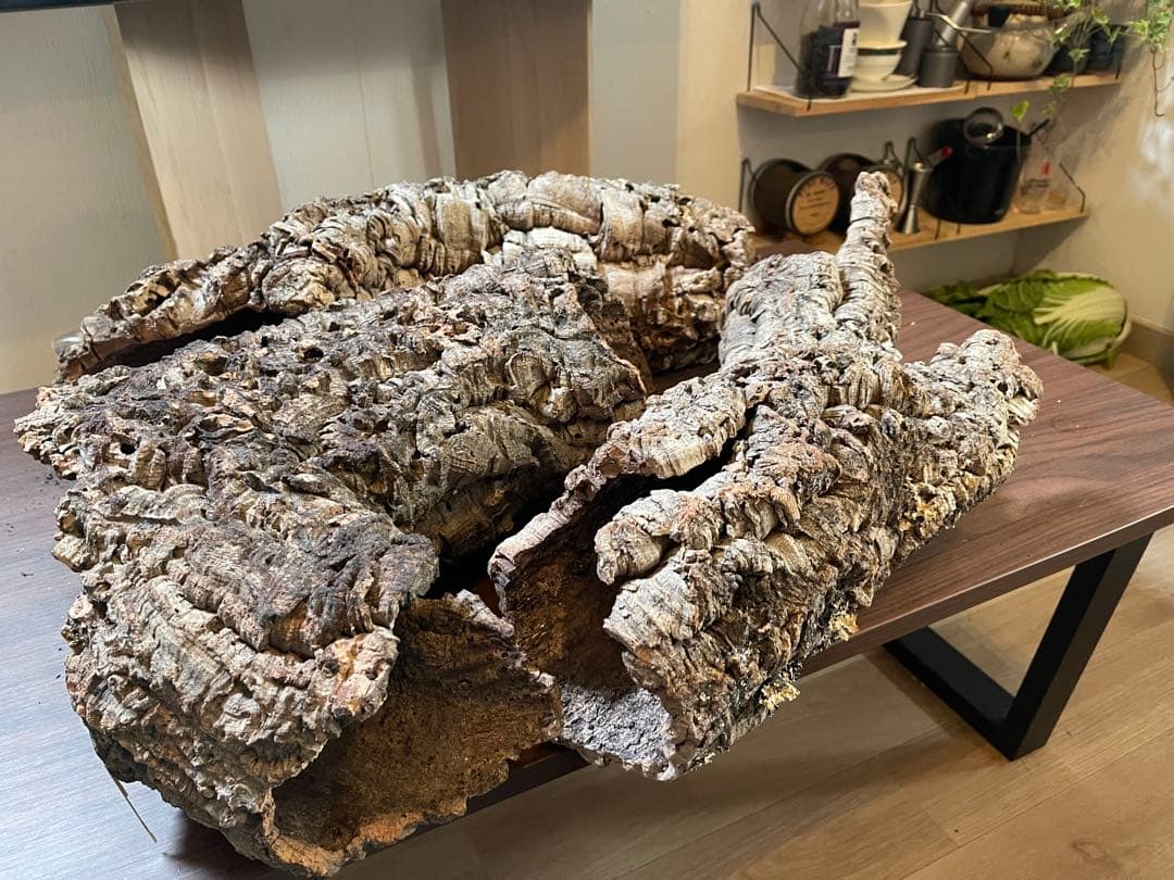 巨大コルク3点セット