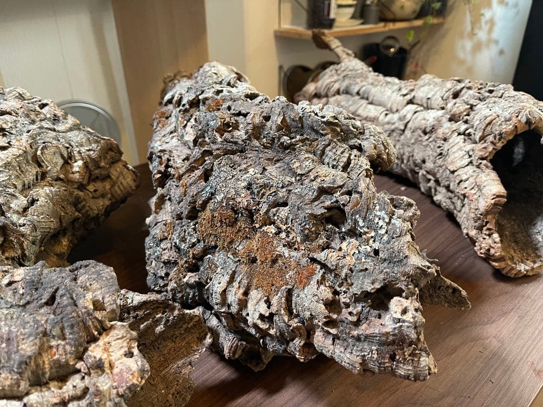 巨大コルク3点セット